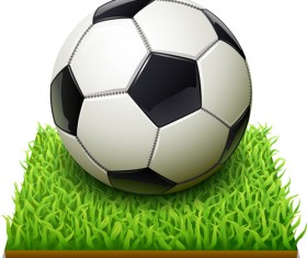 White black soccer and grass vector