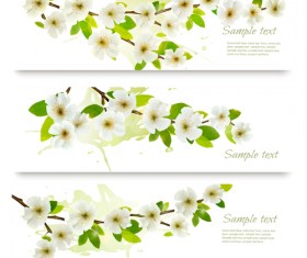 White flower spring banners vectors
