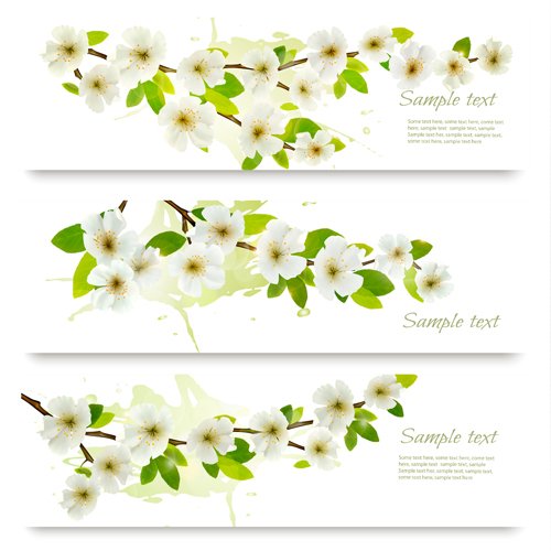 White flower spring banners vectors