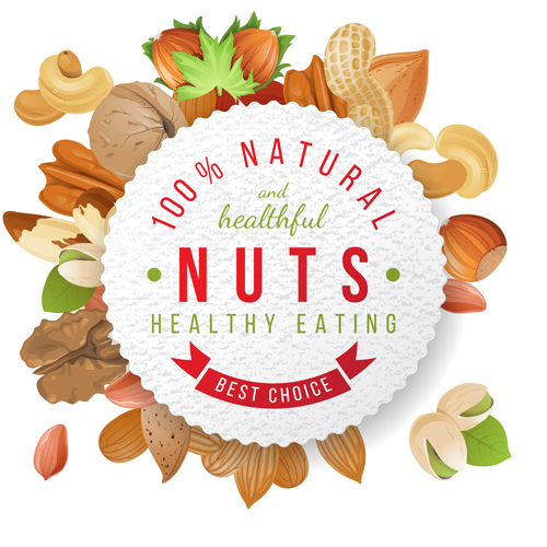nuts with round paper vector background
