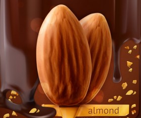 Almond with chocolate background vector material