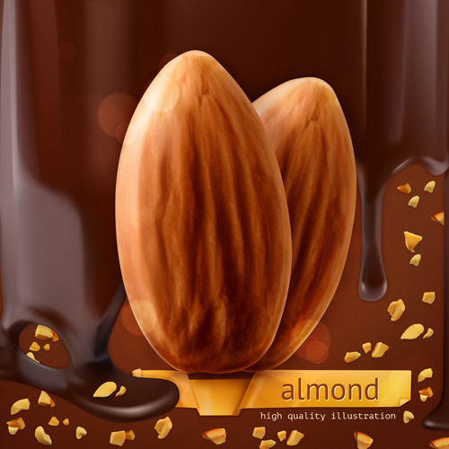 Almond with chocolate background vector material