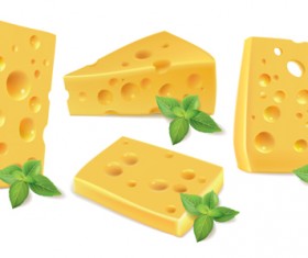 Cheese with green basil vecor