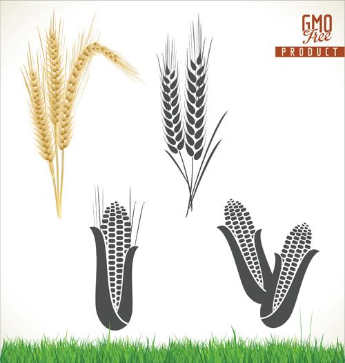 Corn and wheat vector material
