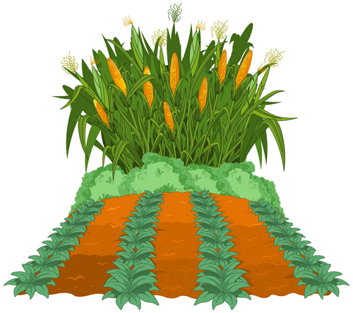 Creative corn art background vector 02
