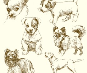 Cute dog drawn vector