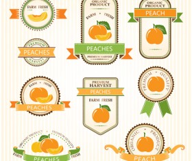 Delicate fruits labels vector material set 01