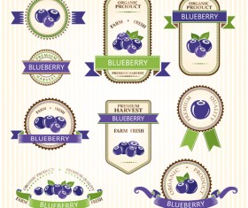 Delicate fruits labels vector material set 02