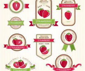 Delicate fruits labels vector material set 04