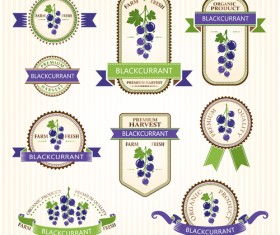 Delicate fruits labels vector material set 05