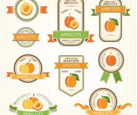 Delicate fruits labels vector material set 06