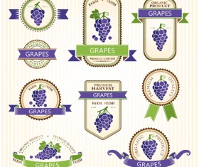 Delicate fruits labels vector material set 07