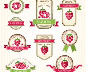 Fruits slice labels vector free download