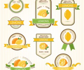Delicate fruits labels vector material set 10