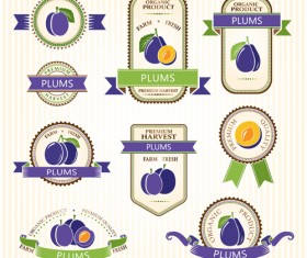 Delicate fruits labels vector material set 11