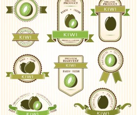 Delicate fruits labels vector material set 13