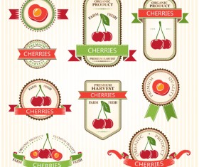 Delicate fruits labels vector material set 14