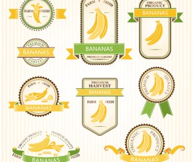 Delicate fruits labels vector material set 15