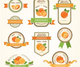 Delicate fruits labels vector material set 16