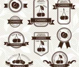 Delicate fruits labels vector material set 20