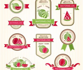 Delicate fruits labels vector material set 21