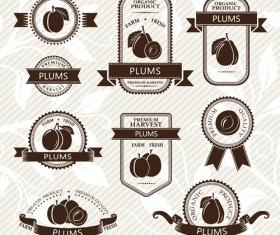 Delicate fruits labels vector material set 22