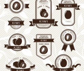 Delicate fruits labels vector material set 23