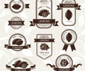 Delicate fruits labels vector material set 24