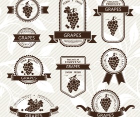 Delicate fruits labels vector material set 25