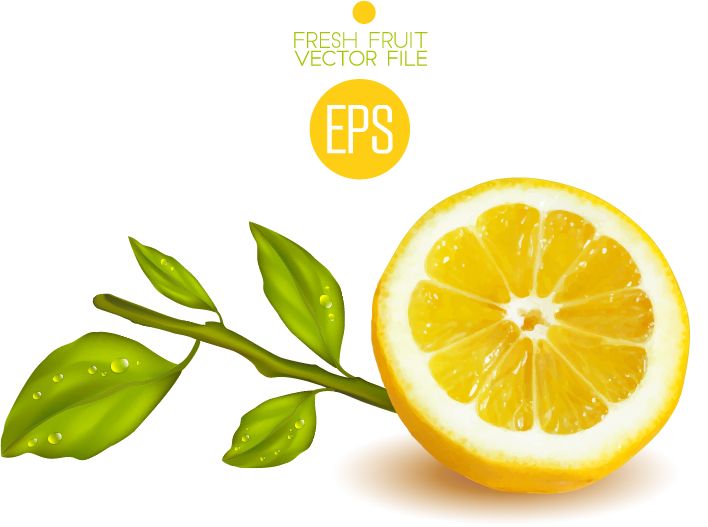 Fresh cut lemon design vector 01