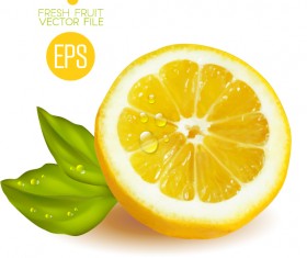 Fresh cut lemon design vector 03