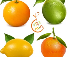 Fresh orange and lemon vector material