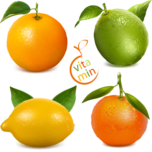 Fresh orange and lemon vector material
