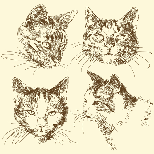Hand drawn cat head vector material