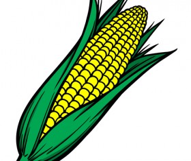 Hand drawn corn vector design 01