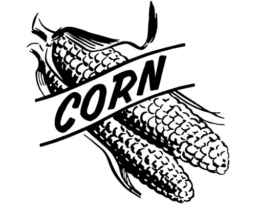 Hand drawn corn vector design 02