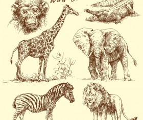 Hand drawn wild animal design vectors 01