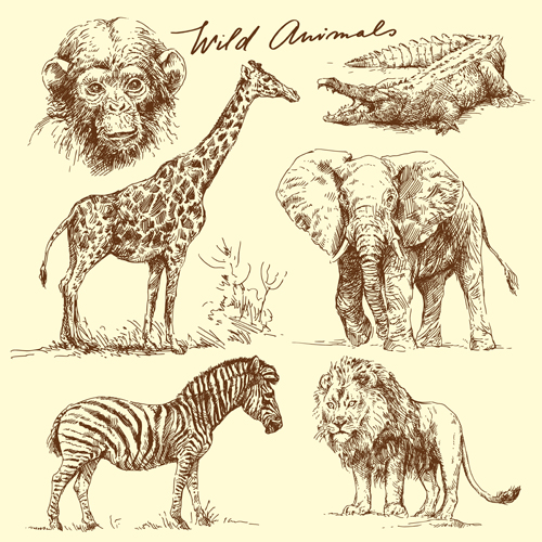 Hand drawn wild animal design vectors 01