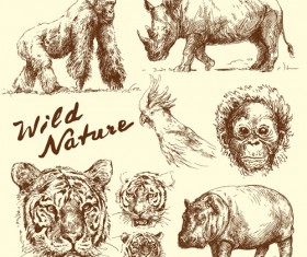 Hand drawn wild animal design vectors 02