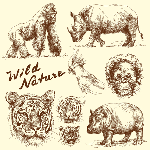 Hand drawn wild animal design vectors 02