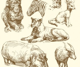 Hand drawn wild animal design vectors 03
