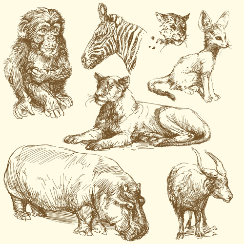 Hand drawn wild animal design vectors 03