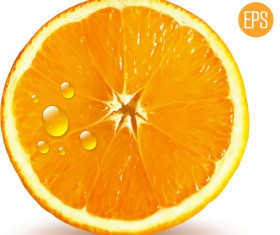 Juicy slice oranges vector set 02