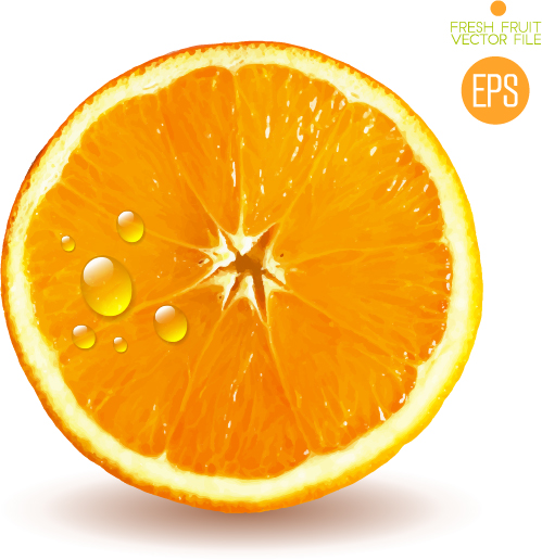 Juicy slice oranges vector set 02