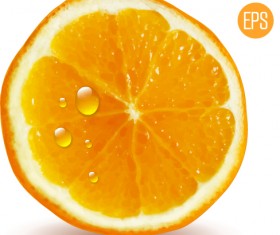 Juicy slice oranges vector set 05
