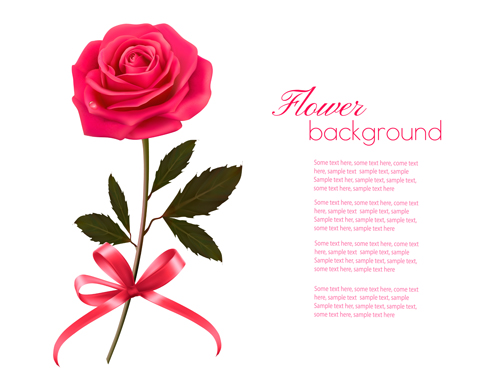 Pink rose beautiful background vectors 02