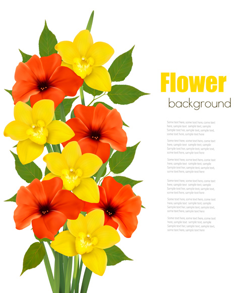 Red with yellow flower vector background