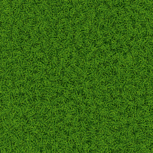 Refreshing green grass background vector 01