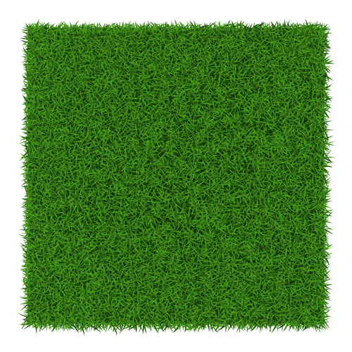 Refreshing green grass background vector 02