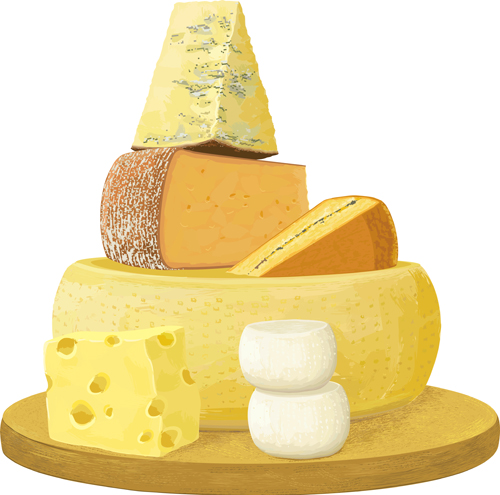 Tasty cheese food vector set 01